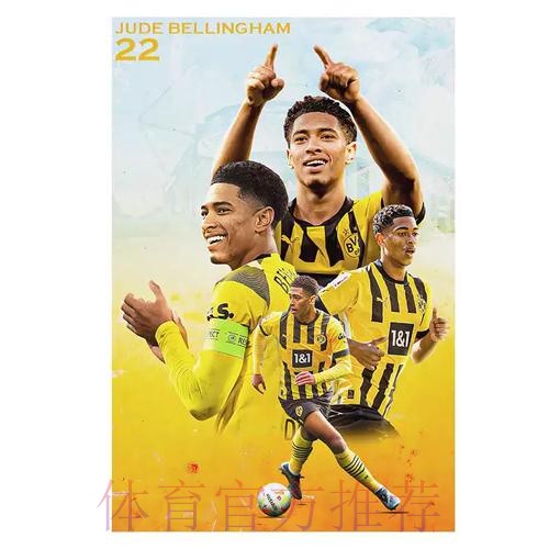 最新世界杯比利时贝林厄姆战术分析权威解读